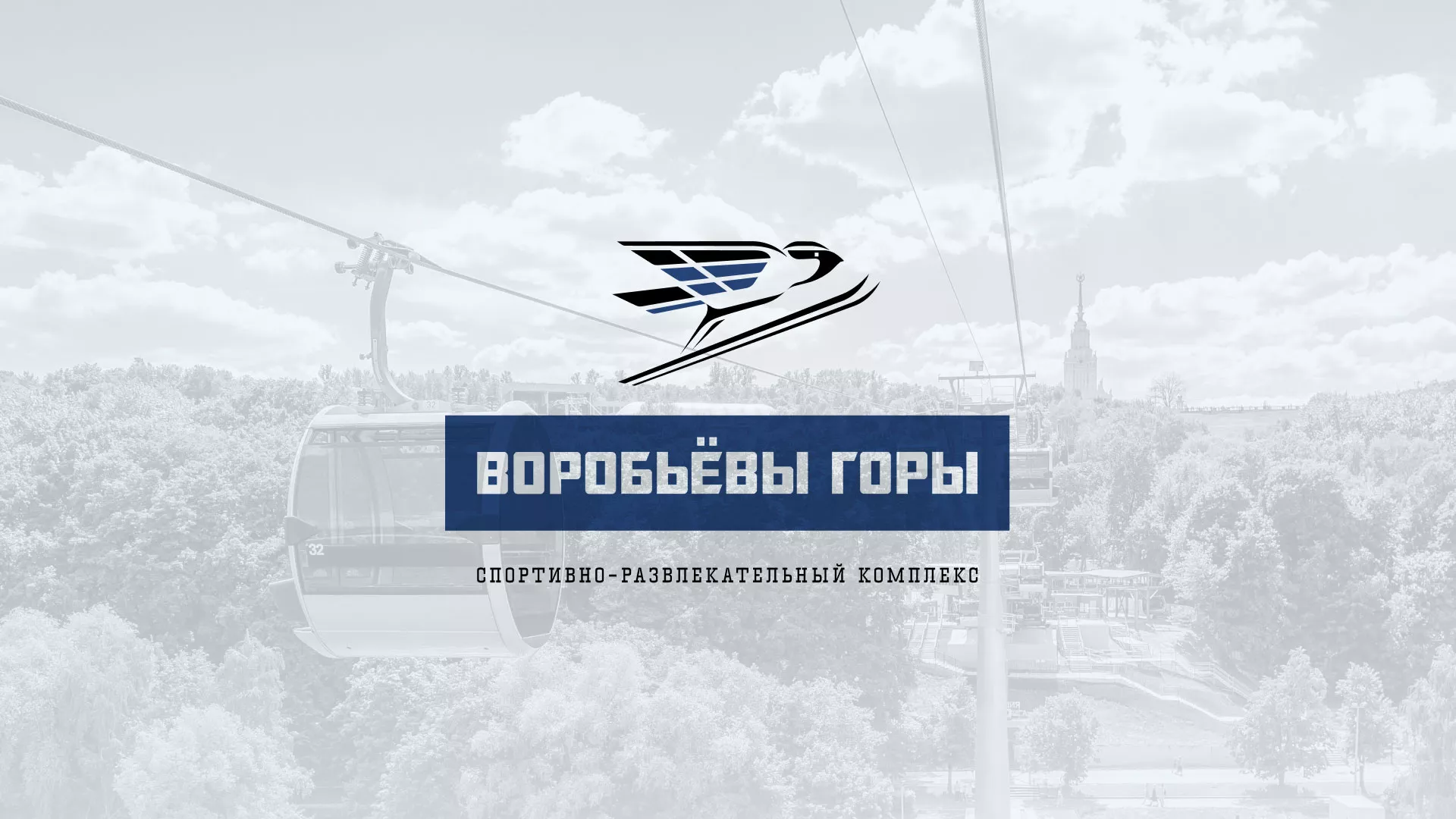 Разработка сайта в Вологде для спортивно-развлекательного комплекса «Воробьёвы горы»